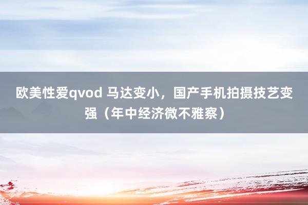 欧美性爱qvod 马达变小，国产手机拍摄技艺变强（年中经济微不雅察）