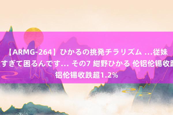 【ARMG-264】ひかるの挑発チラリズム …従妹が小悪魔すぎて困るんです… その7 紺野ひかる 伦铝伦锡收跌超1.2%