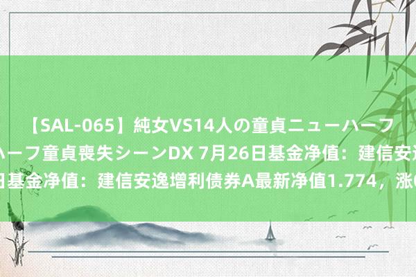 【SAL-065】純女VS14人の童貞ニューハーフ 二度と見れないニューハーフ童貞喪失シーンDX 7月26日基金净值：建信安逸增利债券A最新净值1.774，涨0.45%