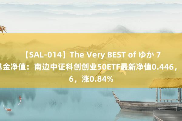 【SAL-014】The Very BEST of ゆか 7月26日基金净值：南边中证科创创业50ETF最新净值0.446，涨0.84%