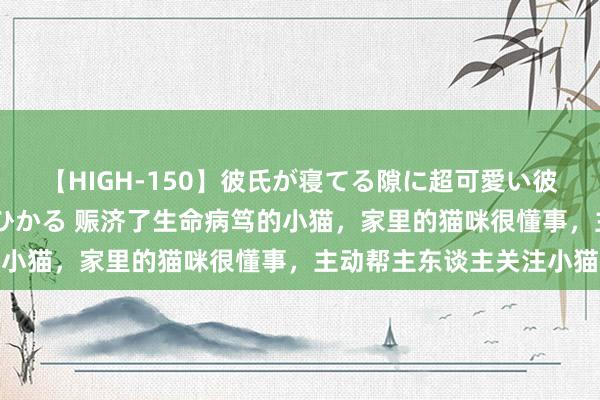 【HIGH-150】彼氏が寝てる隙に超可愛い彼女を襲って中出し 紺野ひかる 赈济了生命病笃的小猫，家里的猫咪很懂事，主动帮主东谈主关注小猫