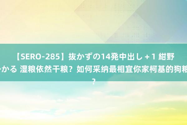 【SERO-285】抜かずの14発中出し＋1 紺野ひかる 湿粮依然干粮？如何采纳最相宜你家柯基的狗粮？