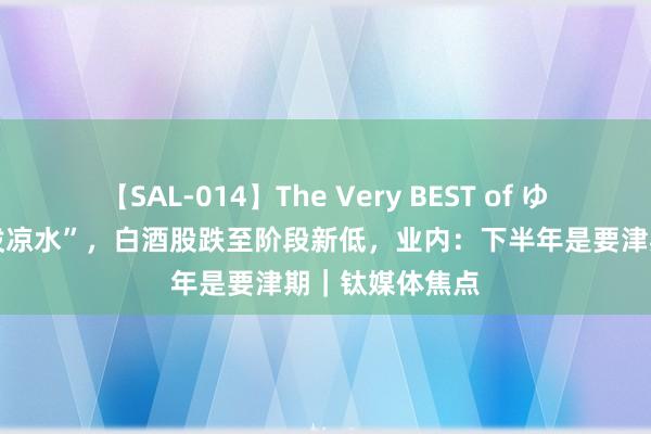 【SAL-014】The Very BEST of ゆか 遭外资行“泼凉水”，白酒股跌至阶段新低，业内：下半年是要津期｜钛媒体焦点