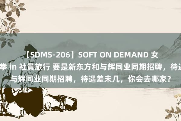 【SDMS-206】SOFT ON DEMAND 女子社員スペシャル野球拳 in 社員旅行 要是新东方和与辉同业同期招聘，待遇差未几，你会去哪家？