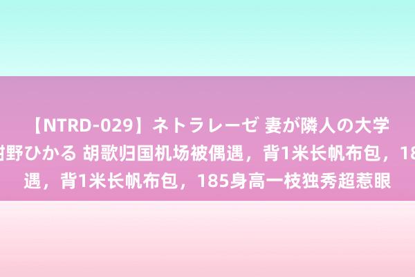 【NTRD-029】ネトラレーゼ 妻が隣人の大学生に寝盗られた話し 紺野ひかる 胡歌归国机场被偶遇，背1米长帆布包，185身高一枝独秀超惹眼