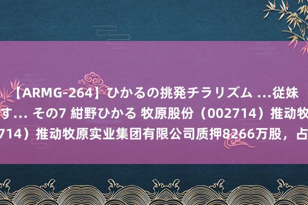 【ARMG-264】ひかるの挑発チラリズム …従妹が小悪魔すぎて困るんです… その7 紺野ひかる 牧原股份（002714）推动牧原实业集团有限公司质押8266万股，占总股本1.51%