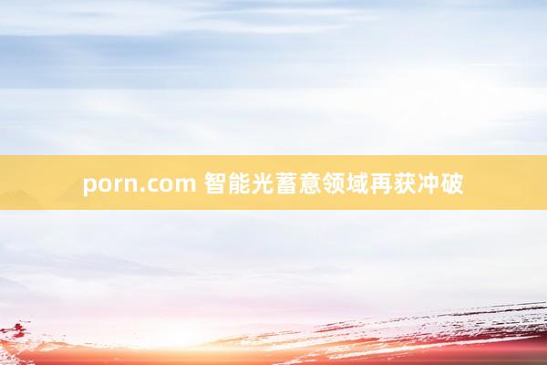 porn.com 智能光蓄意领域再获冲破