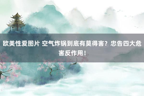 欧美性爱图片 空气炸锅到底有莫得害？忠告四大危害反作用！