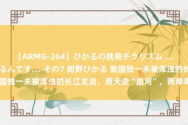 【ARMG-264】ひかるの挑発チラリズム …従妹が小悪魔すぎて困るんです… その7 紺野ひかる 我国独一未被浑浊的长江支流，雨天变“血河”，两岸毒蛇成群