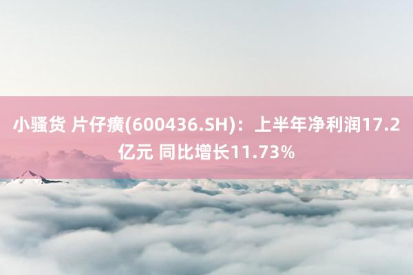 小骚货 片仔癀(600436.SH)：上半年净利润17.2亿元 同比增长11.73%