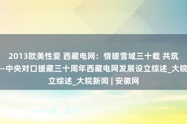 2013欧美性爱 西藏电网：情暖雪域三十载 共筑高原光明路——中央对口援藏三十周年西藏电网发展设立综述_大皖新闻 | 安徽网