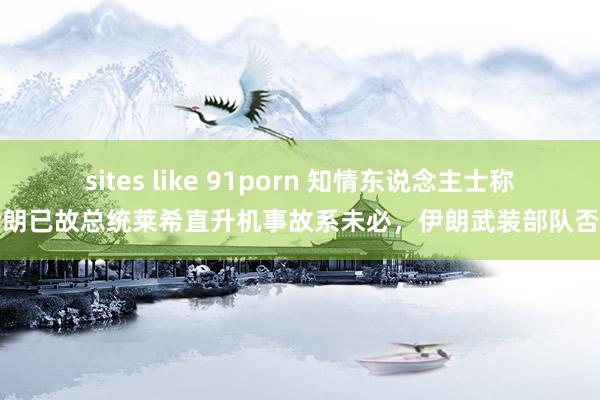 sites like 91porn 知情东说念主士称伊朗已故总统莱希直升机事故系未必，伊朗武装部队否定