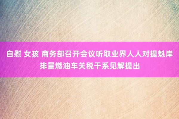 自慰 女孩 商务部召开会议听取业界人人对提魁岸排量燃油车关税干系见解提出