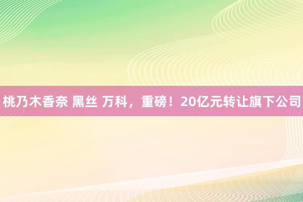 桃乃木香奈 黑丝 万科，重磅！20亿元转让旗下公司