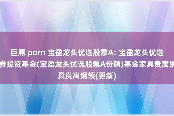 巨屌 porn 宝盈龙头优选股票A: 宝盈龙头优选股票型证券投资基金(宝盈龙头优选股票A份额)基金家具贵寓纲领(更新)