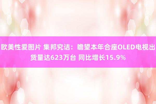 欧美性爱图片 集邦究诘：瞻望本年合座OLED电视出货量达623万台 同比增长15.9%