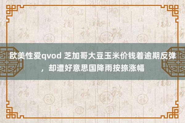 欧美性爱qvod 芝加哥大豆玉米价钱着逾期反弹，却遭好意思国降雨按捺涨幅