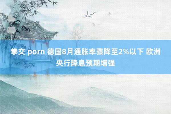 拳交 porn 德国8月通胀率骤降至2%以下 欧洲央行降息预期增强