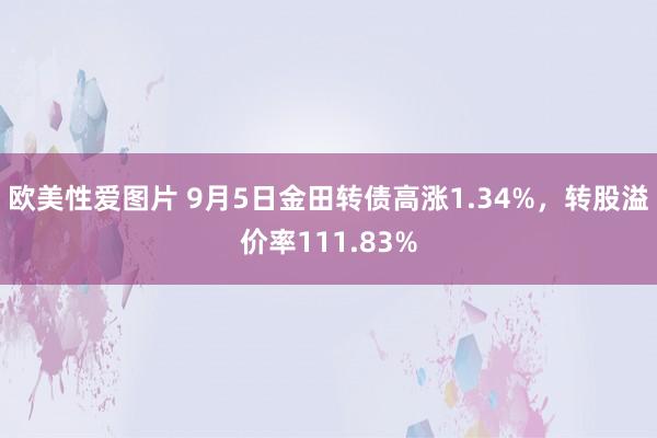 欧美性爱图片 9月5日金田转债高涨1.34%，转股溢价率111.83%