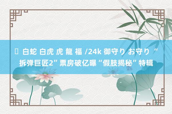 ✨白蛇 白虎 虎 龍 福 /24k 御守り お守り “拆弹巨匠2”票房破亿曝“假肢揭秘”特辑