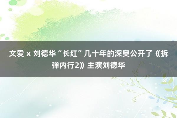 文爱 x 刘德华“长红”几十年的深奥公开了《拆弹内行2》主演刘德华